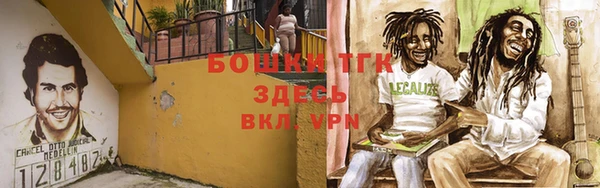 амф Арсеньев