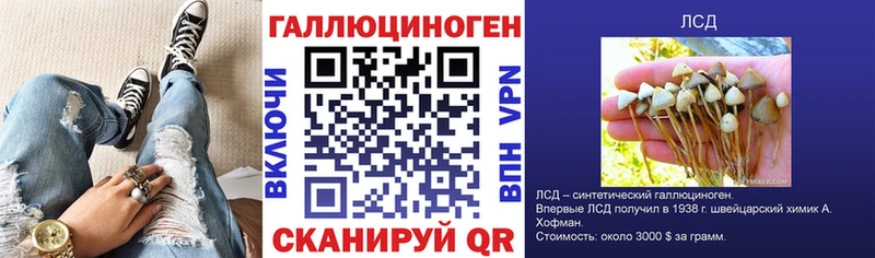 хочу наркоту  Полесск  Галлюциногенные грибы прущие грибы 